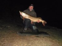 27lb 8oz Pike